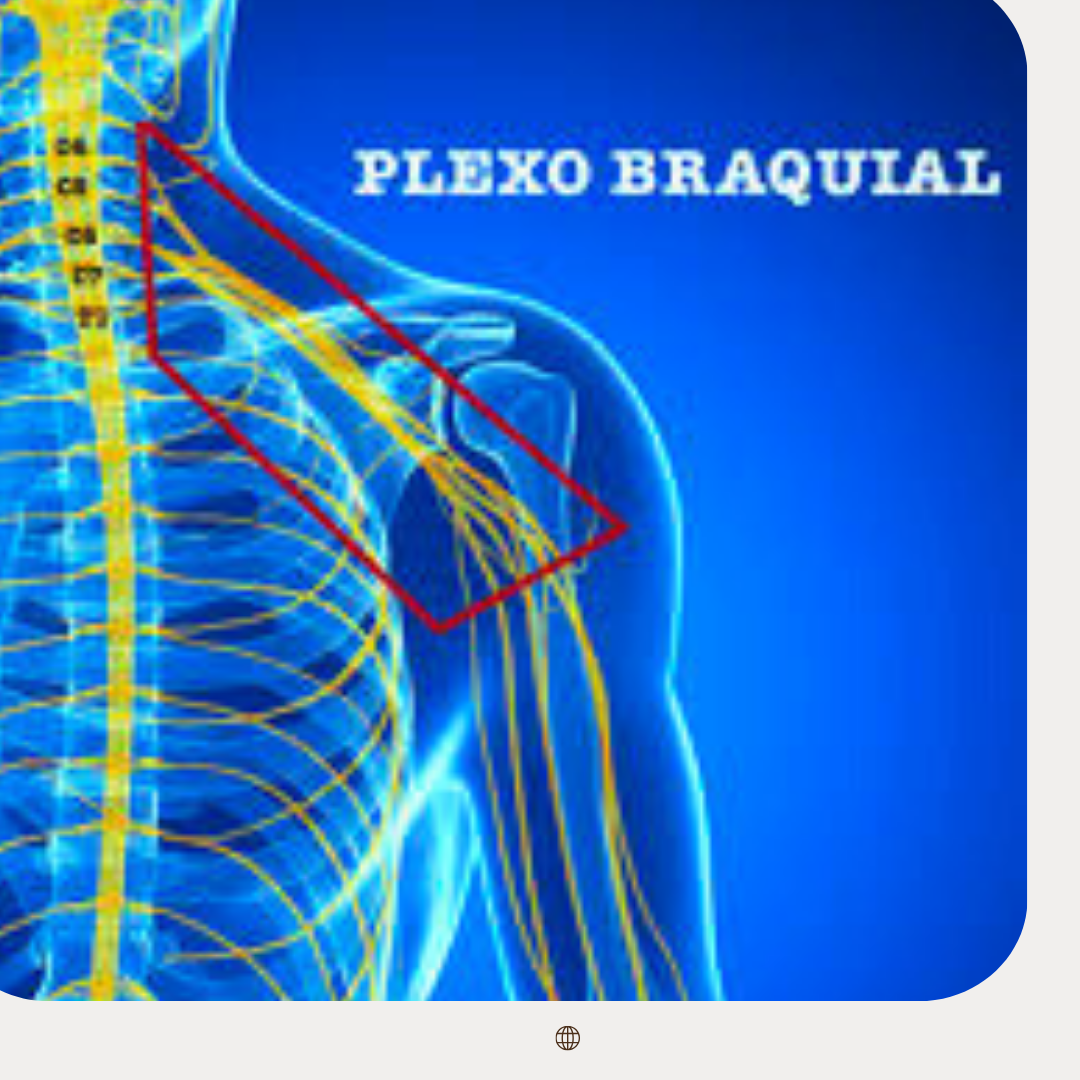 PLEXO-BRAQUIAL-FRANCISCO-TORRAO